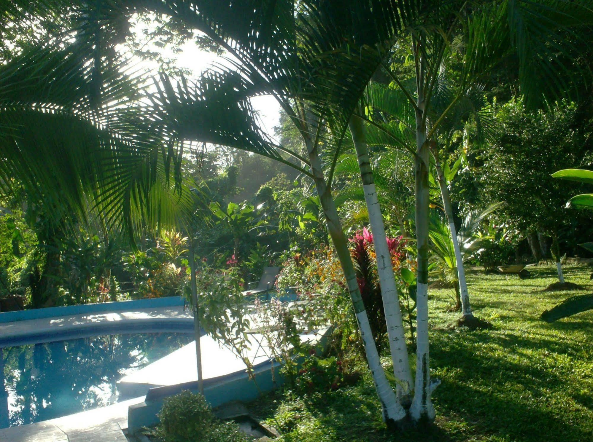 Hotel Lavas Del Arenal La Fortuna Zewnętrze zdjęcie