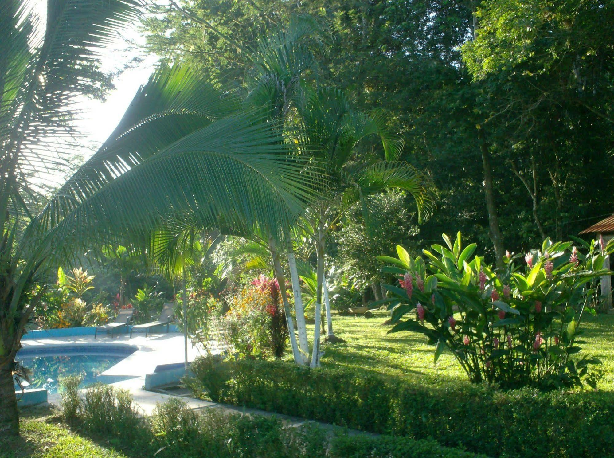 Hotel Lavas Del Arenal La Fortuna Zewnętrze zdjęcie